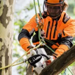 Tronçonneuse à batterie STIHL MSA 161 T – Image 2