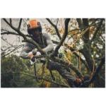 Mini-tronçonneuse à batterie AS System STIHL GTA 40 SET – Image 2