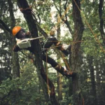 Tronçonneuse à batterie AP System STIHL MSA 190T – Image 2