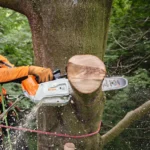 Tronçonneuse à batterie AP System STIHL MSA 220T – Image 2