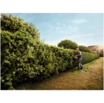 Taille-haie thermique Version Rabattage STIHL HS 82 R – Image 2