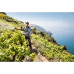 Atomiseur STIHL SR 200 – Image 2